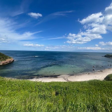 Berwick Holiday Park Haven Εξωτερικό φωτογραφία